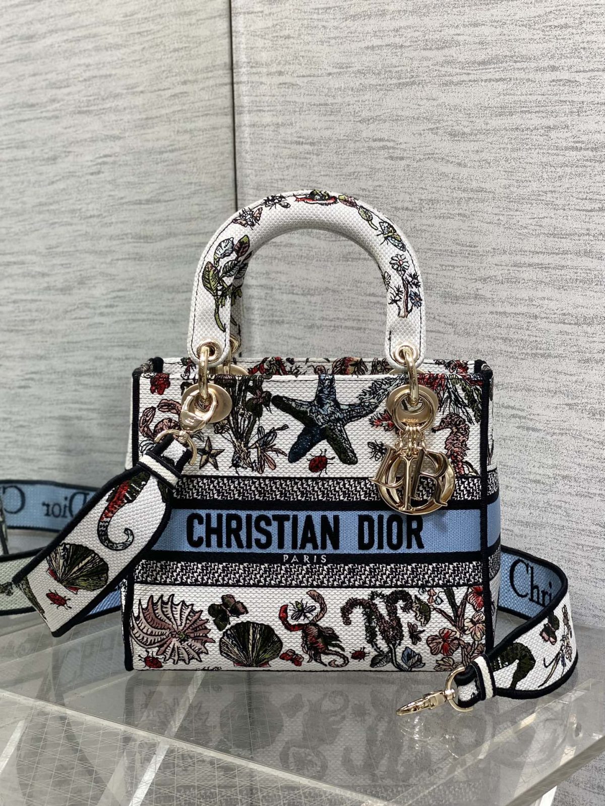 Dior Lady Handbag - Image 1