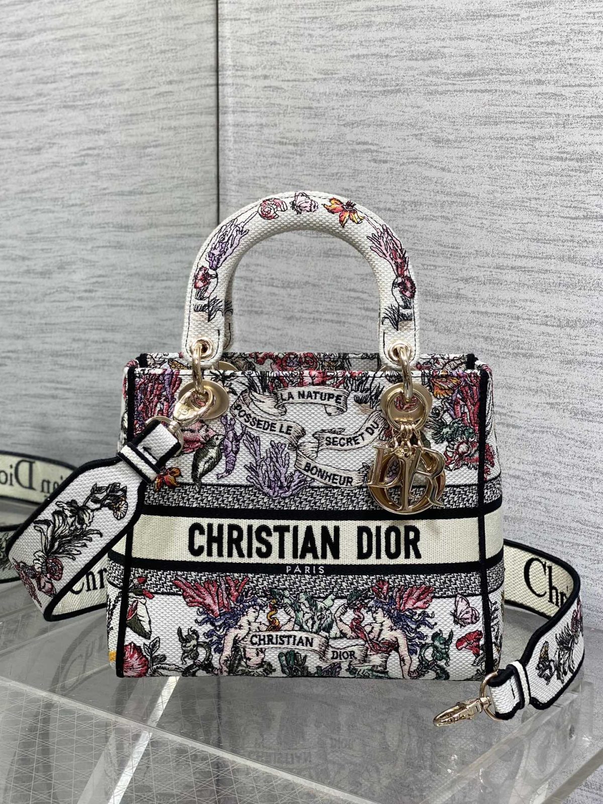 Dior Lady Handbag - Image 1