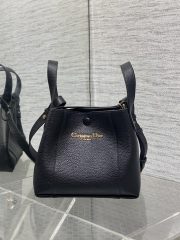 Dior Small Signature Bucket Bag