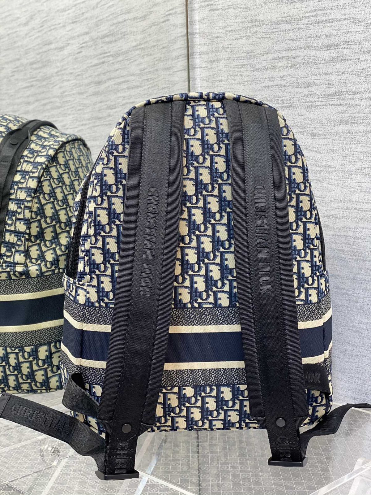 DiorTravel Backpack - Image 2