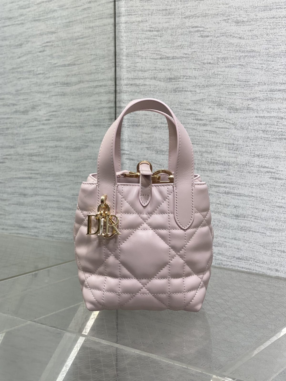 Dior Toujours Vertical Nano Tote Bag - Image 2
