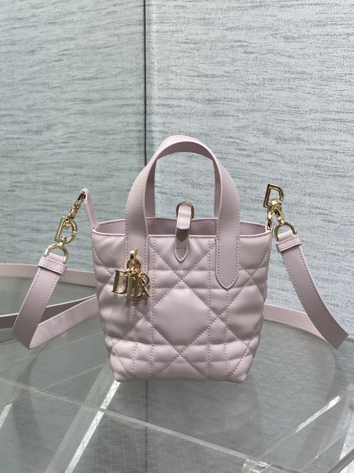 Dior Toujours Vertical Nano Tote Bag - Image 1
