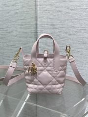 Dior Toujours Vertical Nano Tote Bag