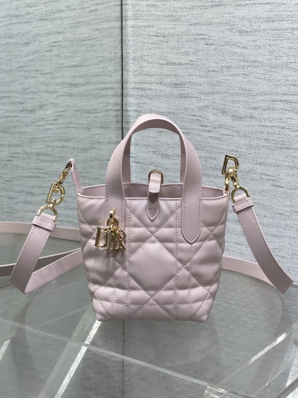 Dior Toujours Vertical Nano Tote Bag