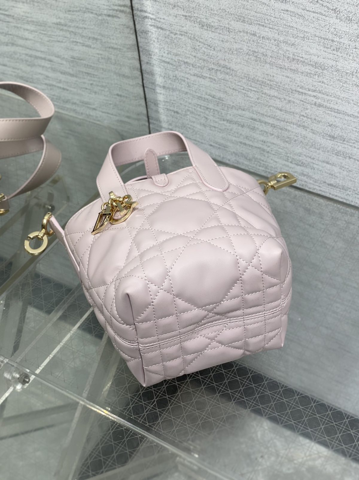 Dior Toujours Vertical Nano Tote Bag - Image 5
