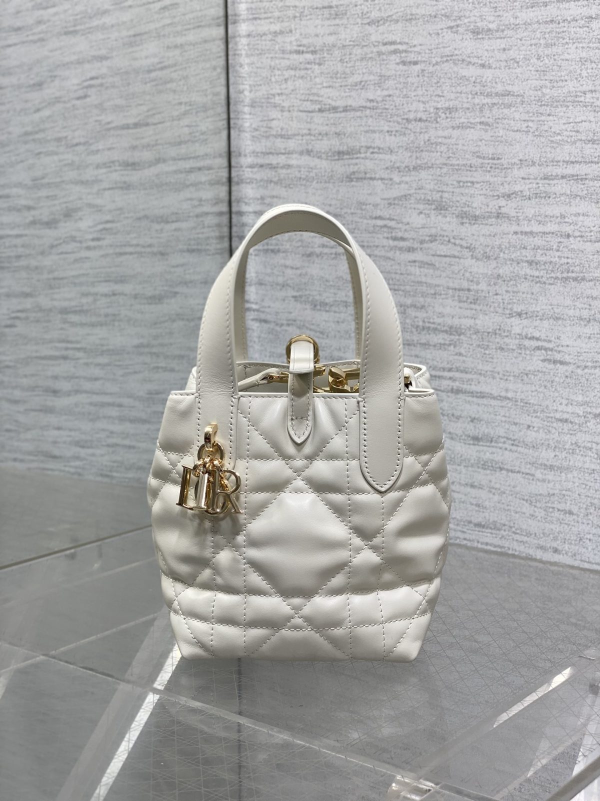Dior Toujours Vertical Nano Tote Bag - Image 1