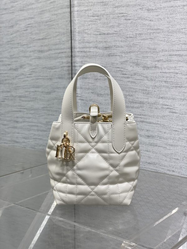 Dior Toujours Vertical Nano Tote Bag