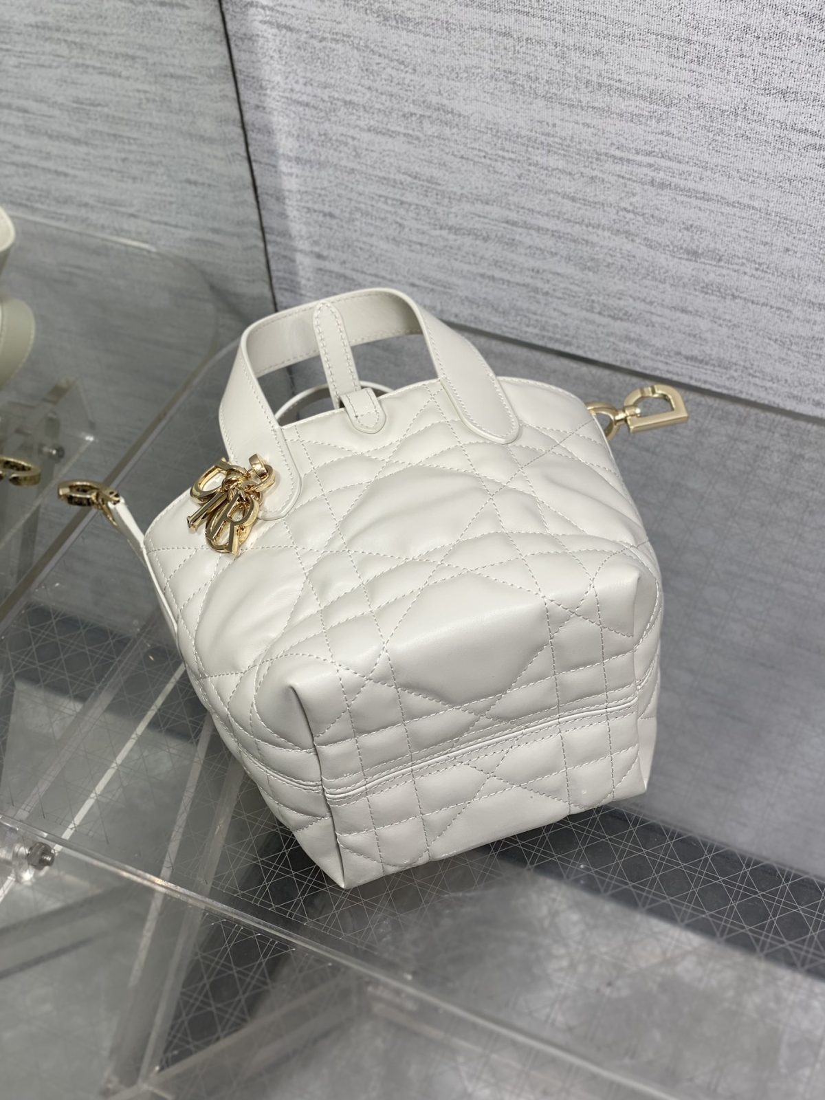 Dior Toujours Vertical Nano Tote Bag - Image 5