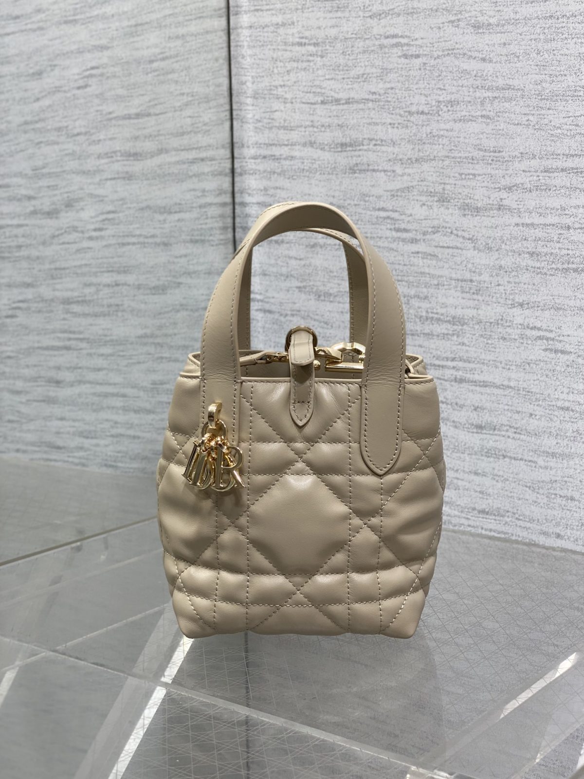 Dior Toujours Vertical Nano Tote Bag - Image 1