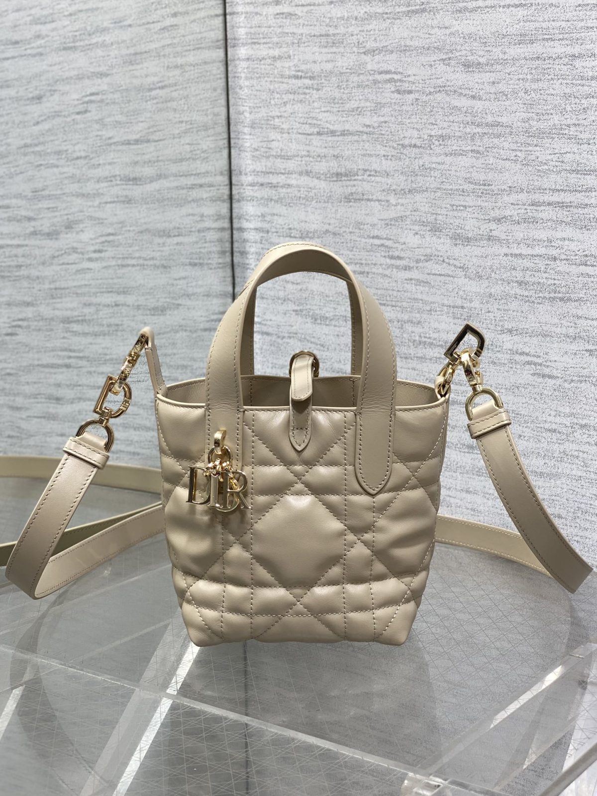 Dior Toujours Vertical Nano Tote Bag - Image 2