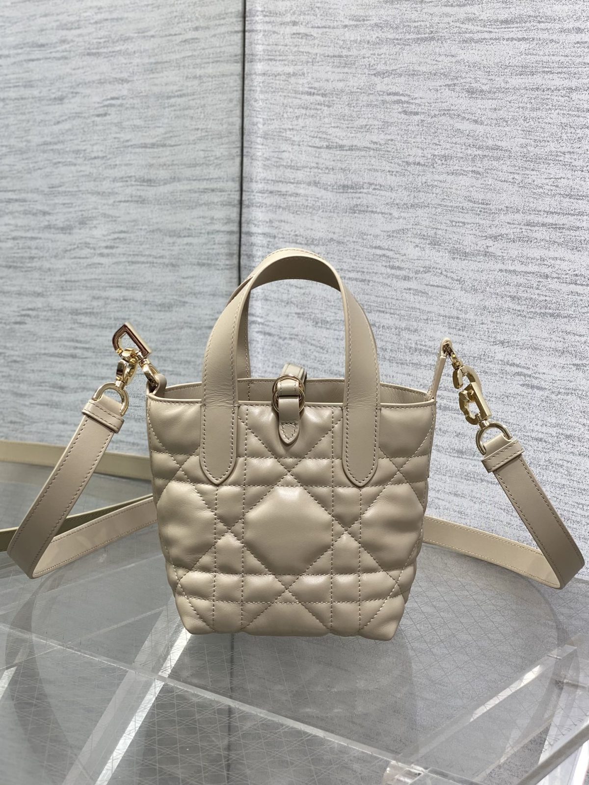 Dior Toujours Vertical Nano Tote Bag - Image 3
