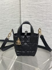 Dior Toujours Vertical Nano Tote Bag