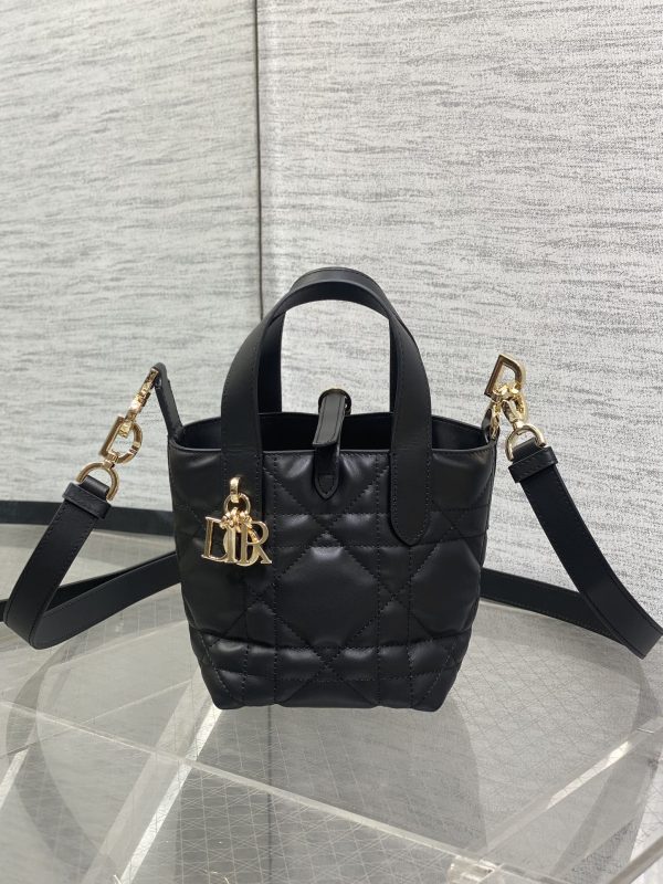 Dior Toujours Vertical Nano Tote Bag