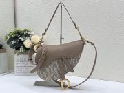 Dior Saddle Bag with Strap