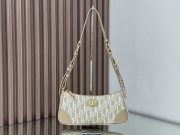 Dior 30 Montaigne Wanderlust Mini Bag