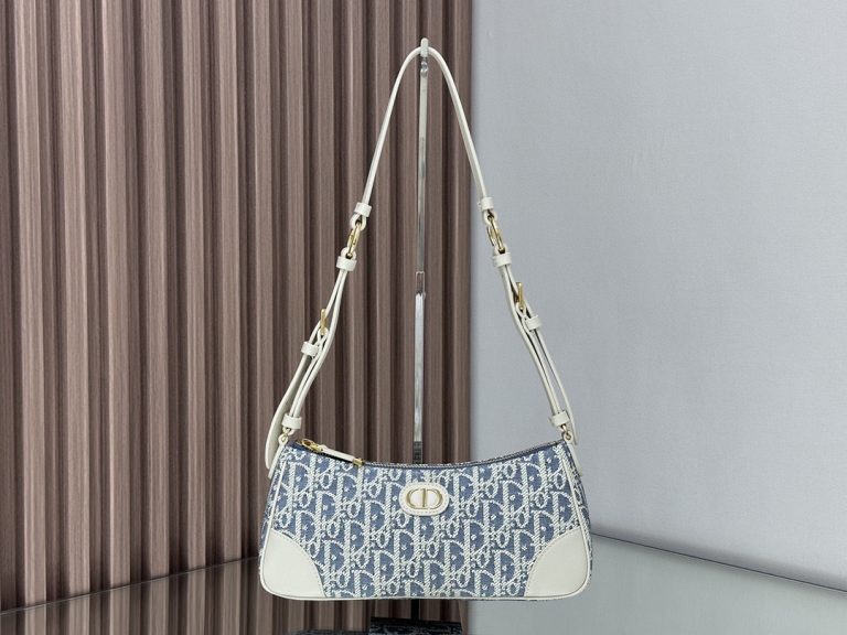 Dior 30 Montaigne Wanderlust Mini Bag photo review