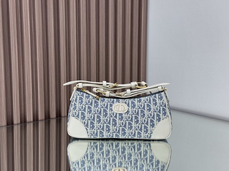 Dior 30 Montaigne Wanderlust Mini Bag photo review