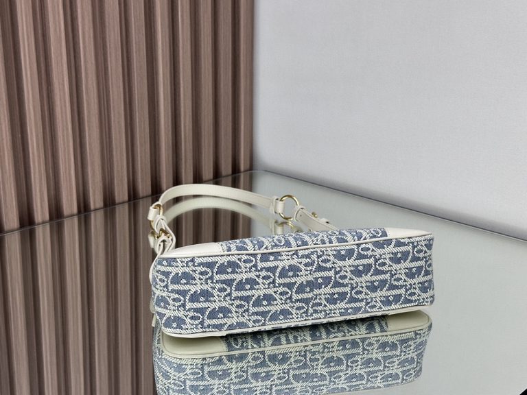 Dior 30 Montaigne Wanderlust Mini Bag photo review