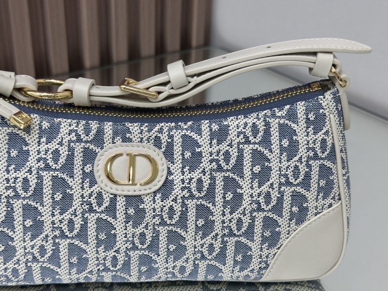Dior 30 Montaigne Wanderlust Mini Bag photo review