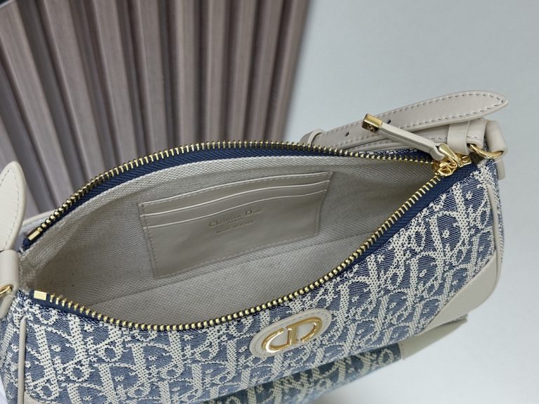 Dior 30 Montaigne Wanderlust Mini Bag photo review