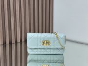 Dior Miss Caro Pouch with Chain