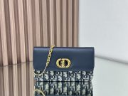 Dior Miss Caro Pouch with Chain