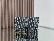 Dior Saddle Chain Bag