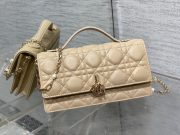 Dior Pearl Chain Bag
