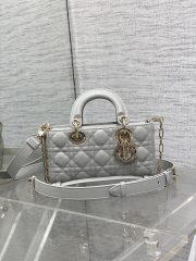Dior Small D-Joy Handbag