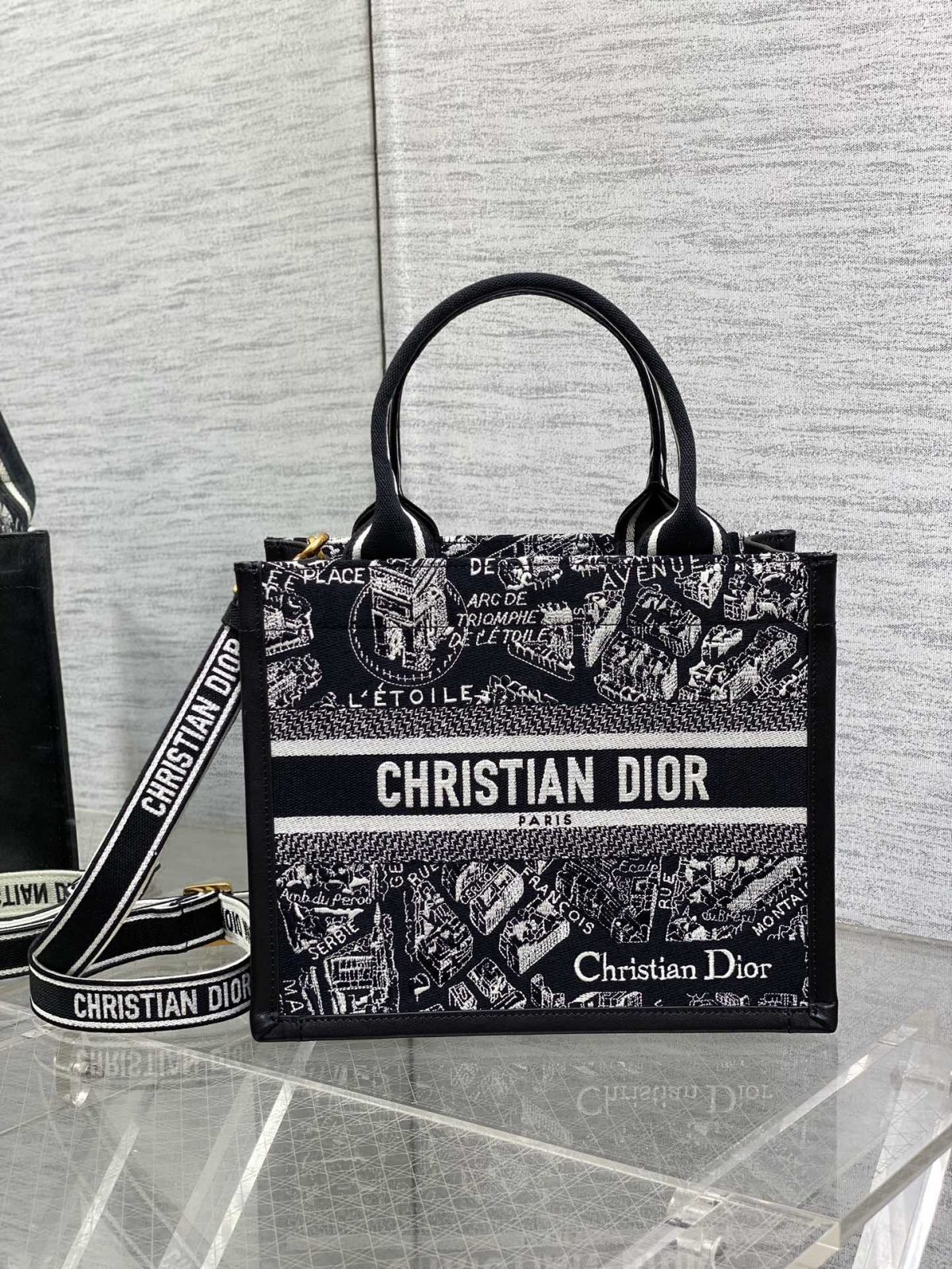 Small Dior Book Tote - Image 1
