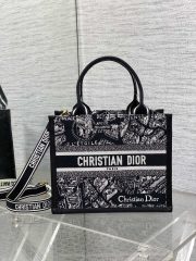 Small Dior Book Tote