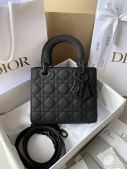 Dior Small Lady Bag
