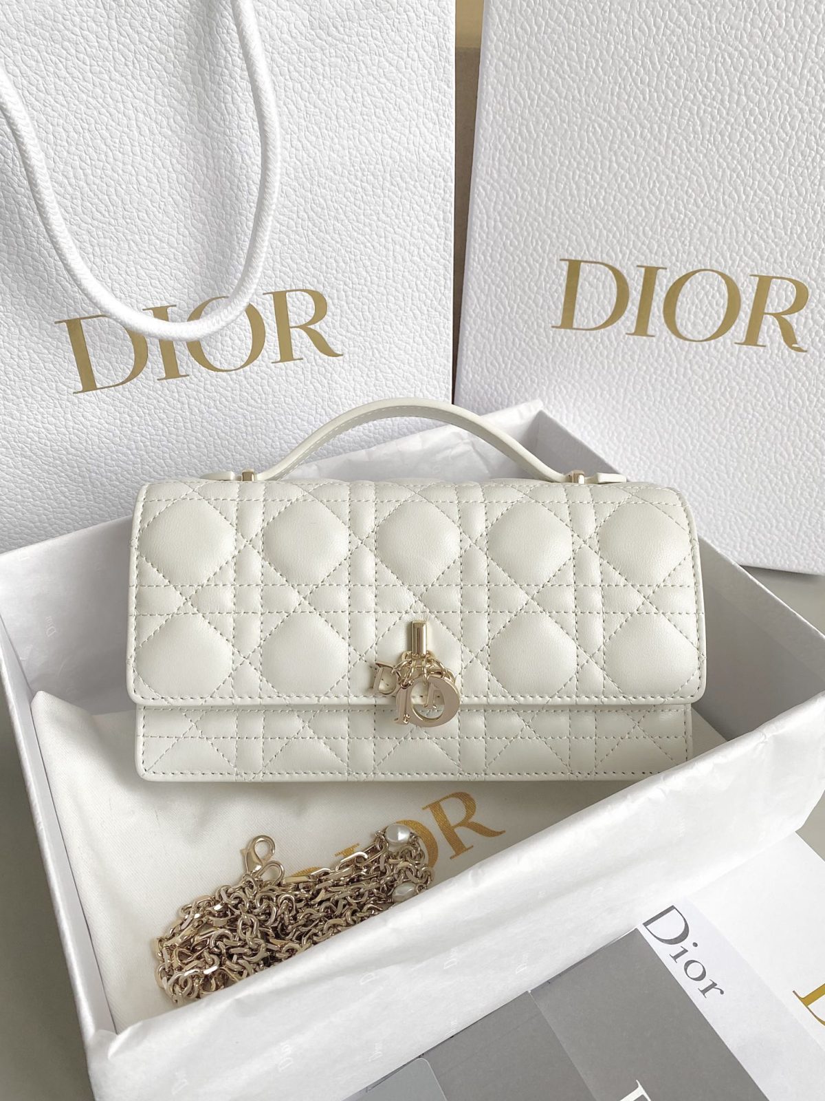Dior Top Handle Pouch - Image 1