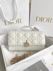 Dior Top Handle Pouch