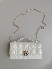 Dior Top Handle Pouch - Image 2