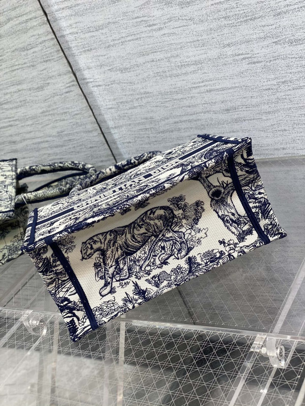 Small Dior Book Tote Bag - Image 7