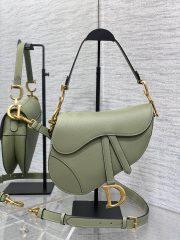 Dior Saddle Large Bag