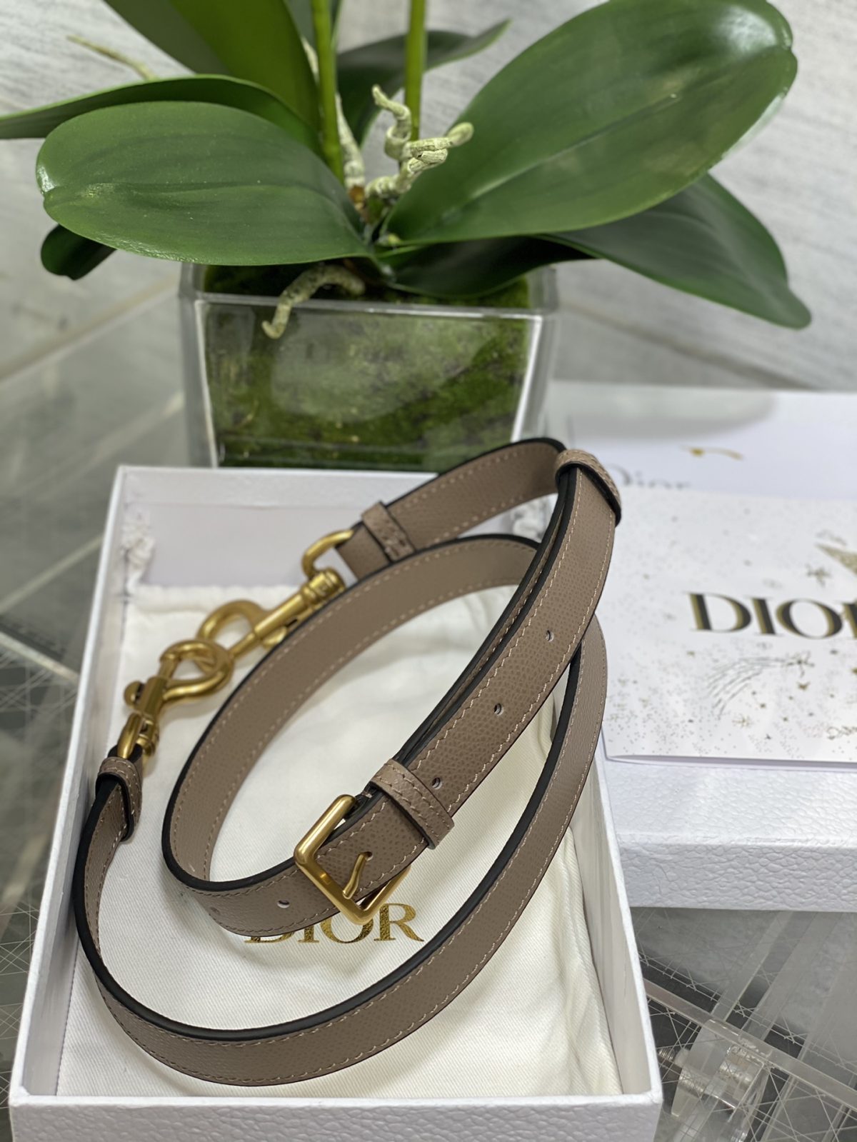 Dior Saddle Large Bag - Image 9