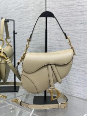 Dior Saddle Large Bag