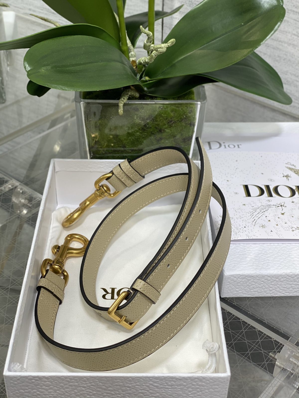 Dior Saddle Large Bag - Image 9
