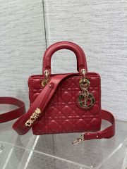 Dior Small Lady Bag
