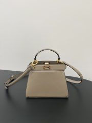 Fendi Peekaboo ISeeU Petite Small Handbag