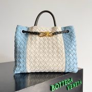 Bottega Veneta Andiamo Bag