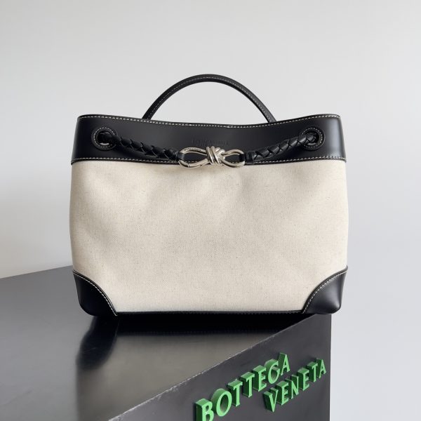 Bottega Veneta Andiamo Bag