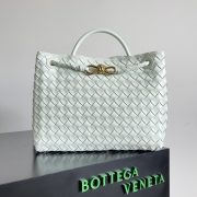 Bottega Veneta Andiamo Bag