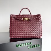 Bottega Veneta Andiamo Bag