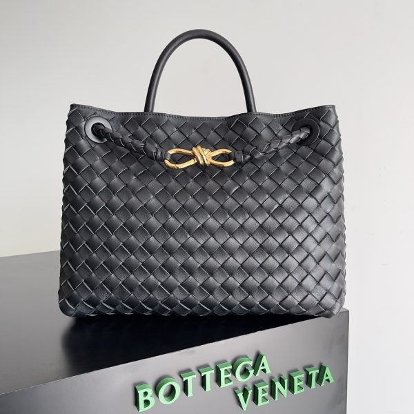 Bottega Veneta Andiamo Bag