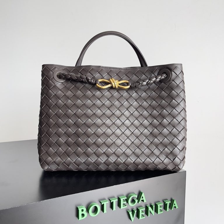 Bottega Veneta Andiamo Bag photo review