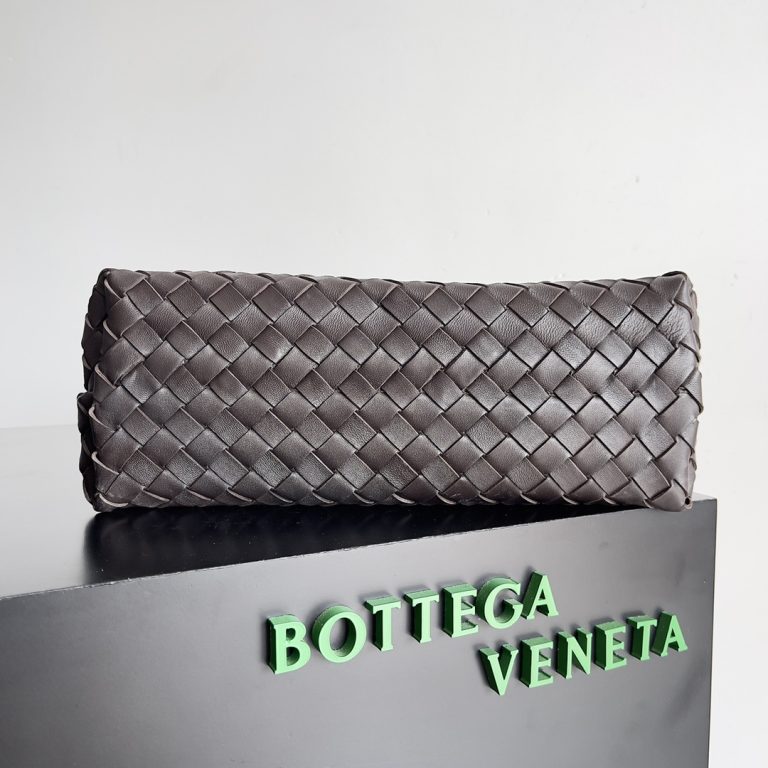 Bottega Veneta Andiamo Bag photo review