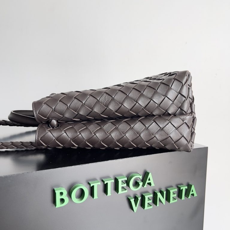Bottega Veneta Andiamo Bag photo review